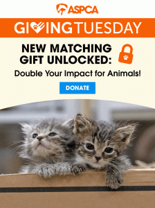 ASPCA Giving Tuesday email screenshot. New matching gift unlocked: double your impact for Animals!